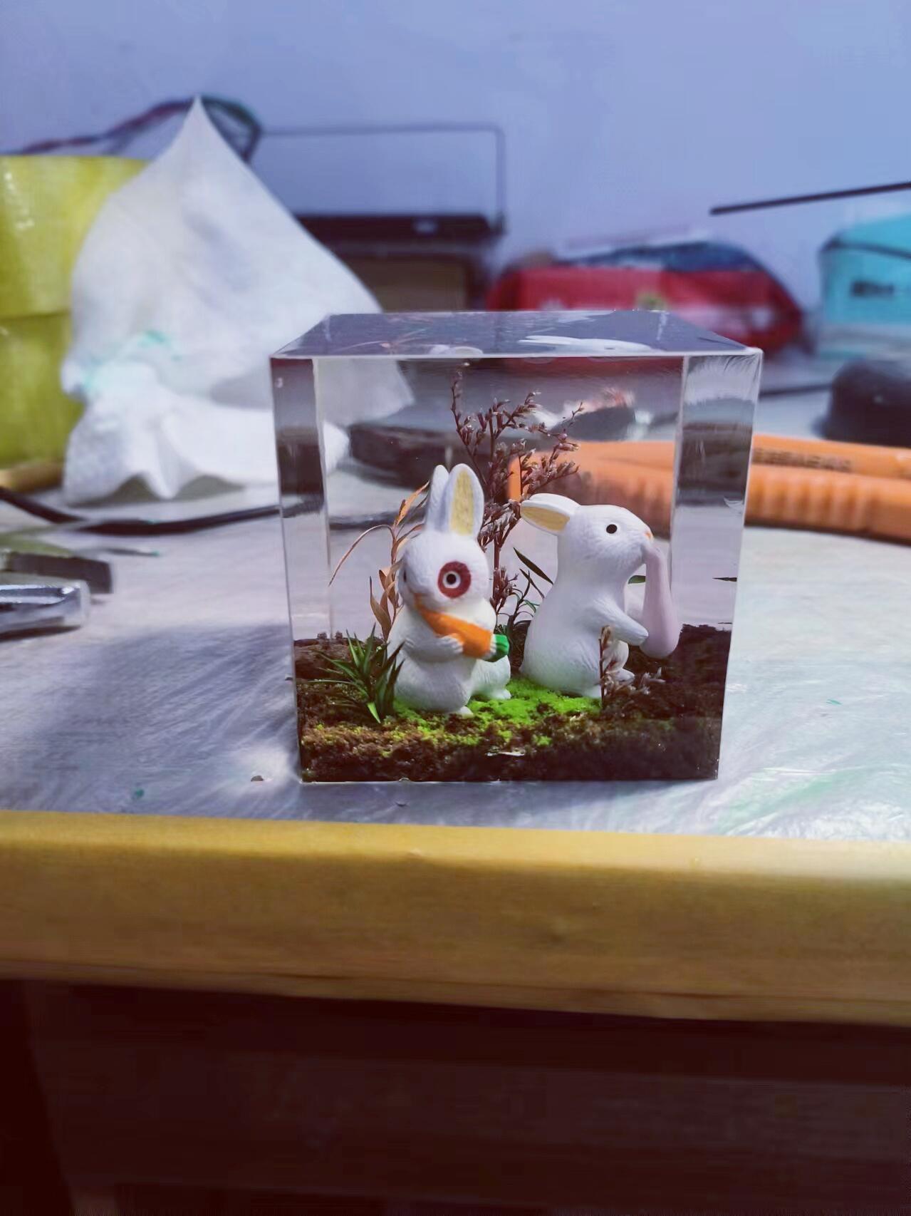 Cute Little Bunny Cube, Micro Landscape Artisan Resin Art, Cute Rabbit, Personalized Gift, Desk Decor, Unique Gift. - HiJenney