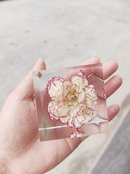 Carnation Petals Cube, Night Light, Artisan Plants Resin Cube, Handmade Personalized Gift, Desk Decor, Custom Unique Gift. - HiJenney